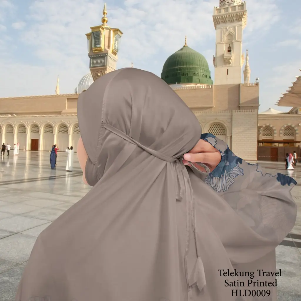 HLD0009 (6).webp